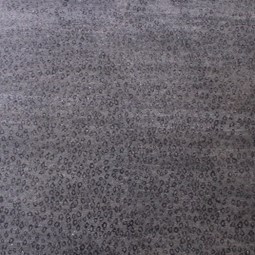 LCL 0015