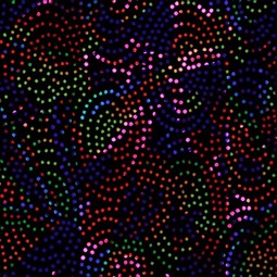 LCC 0041