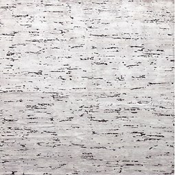 LCQ0040