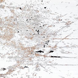 LCQ0056